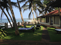 Palmen und Liegestühle am Meer in Kerala